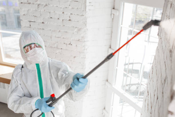 Best Mold Remediation for Healthcare Facilities  in Oroville, CA