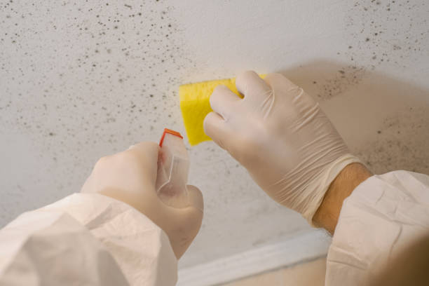 Dehumidification Services in Oroville, CA